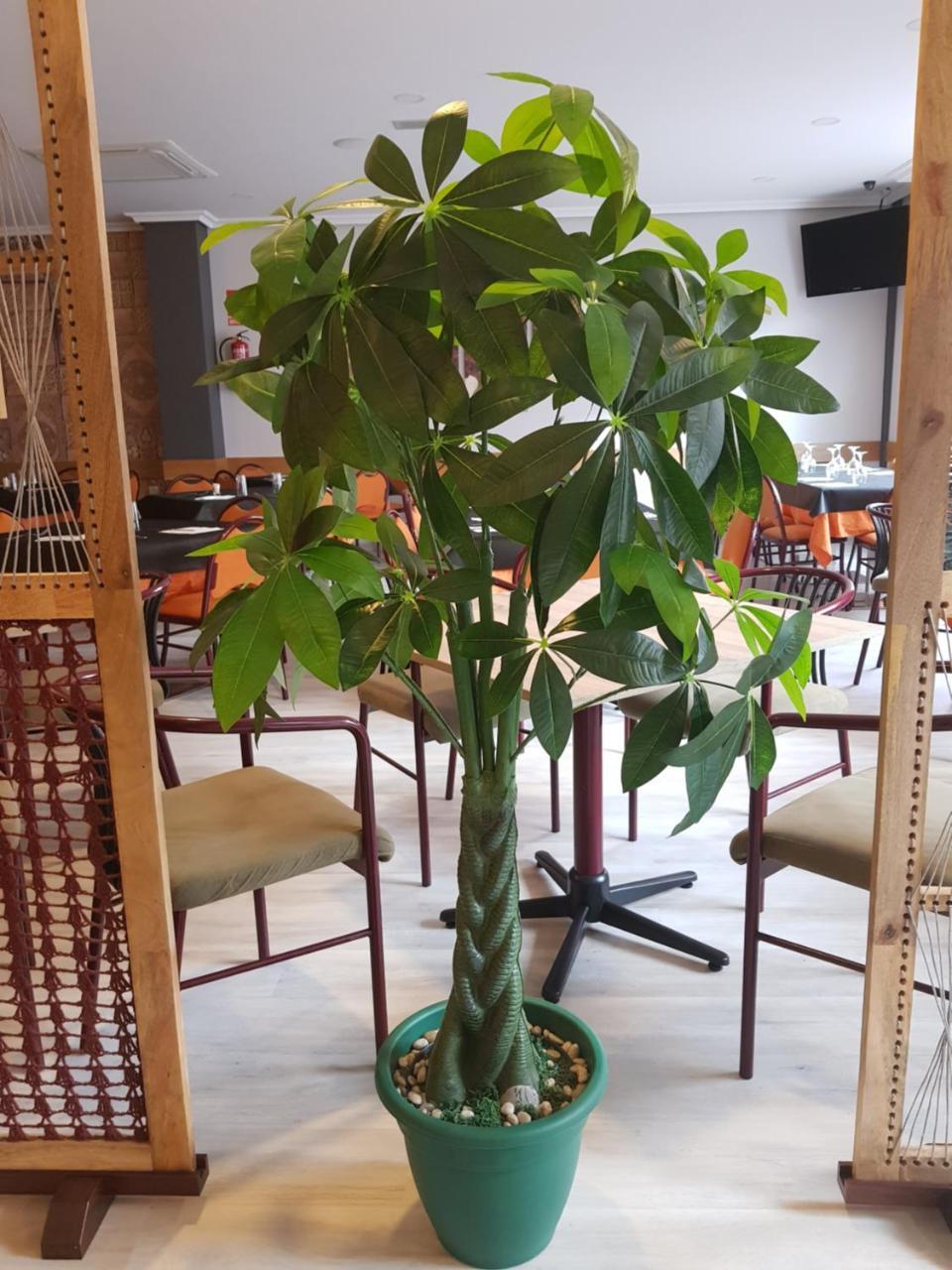 Hostal Restaurante El Abuelo Trobajo Del Camino エクステリア 写真